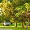 Kupferquelle Resort,Oshikoto Region>>Tsumeb,3.5 star
