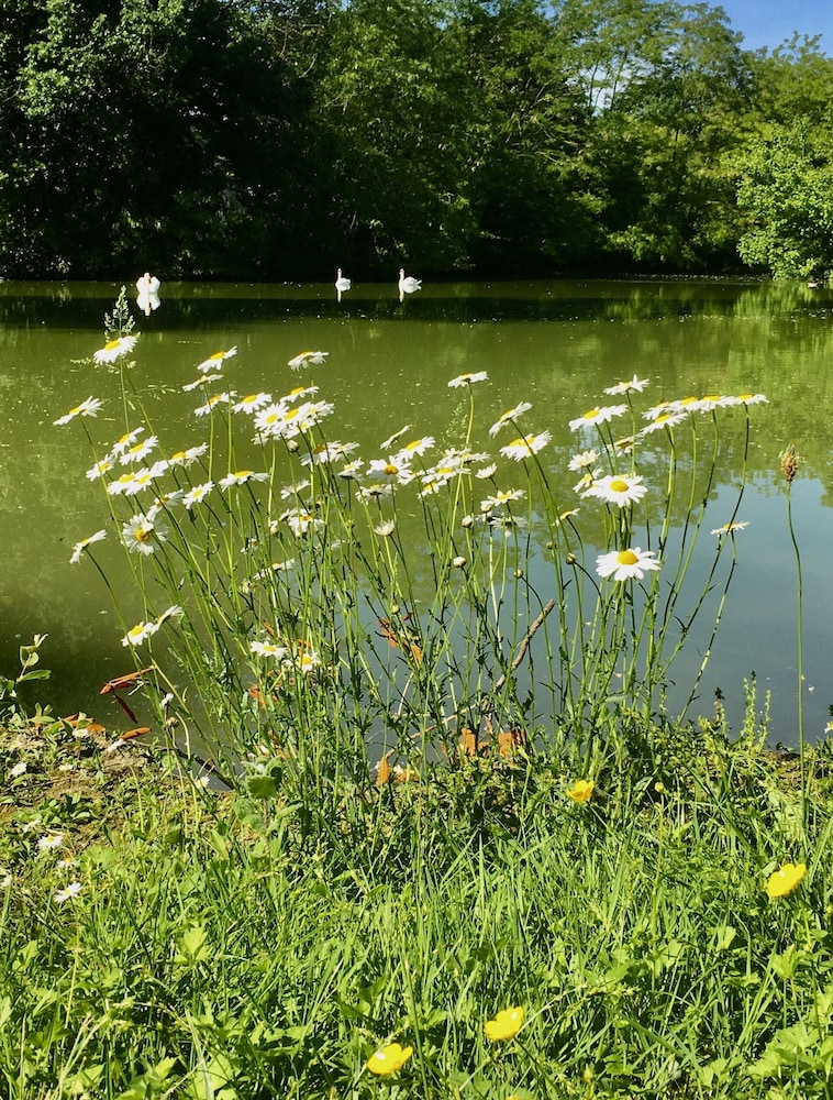 tournon saint pierre