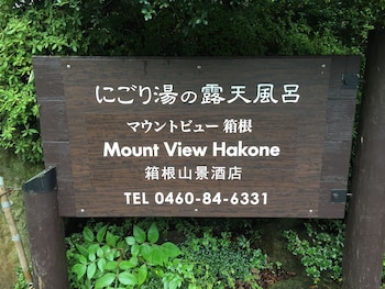 mount view hakone