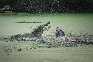 hotel syariah grand jamee