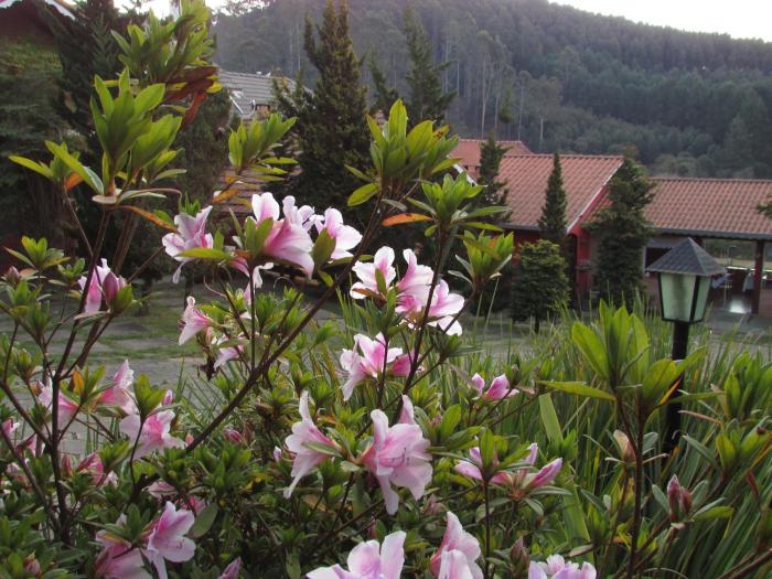 pousada flores da serra adults only