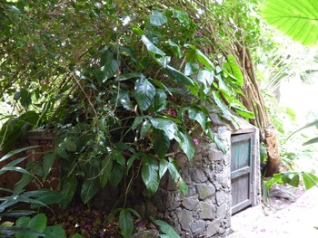 santa cruz la laguna