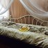 milk ya guest house caters to women only