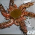 golden sun hotel