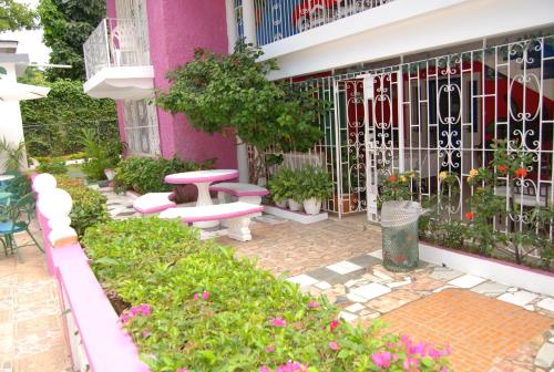 pink hibiscus guest house