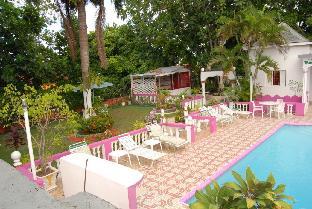 pink hibiscus guest house
