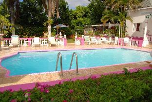 pink hibiscus guest house