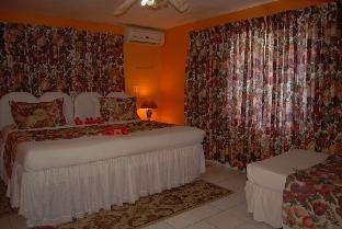 pink hibiscus guest house