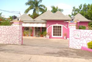 pink hibiscus guest house