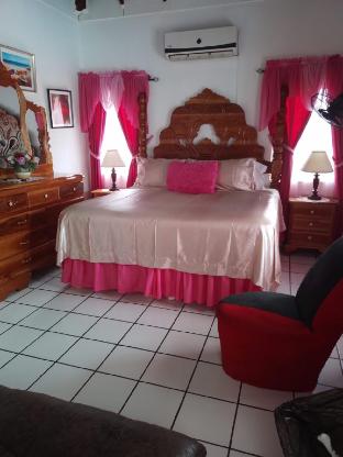 pink hibiscus guest house