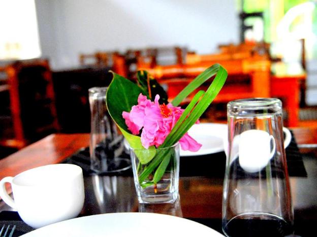 oasis resort and spas