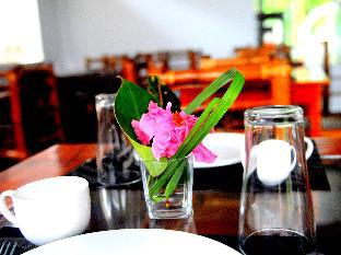 oasis resort and spas