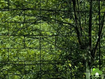 milano grand new rest house