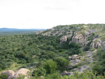 Sasa Safari Camp,Outjo>>Damaraland,2 star