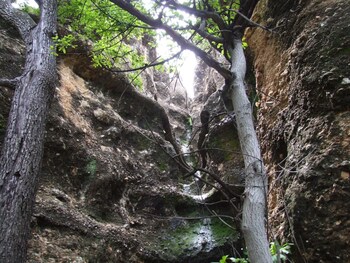 Sasa Safari Camp,Outjo>>Damaraland,2 star