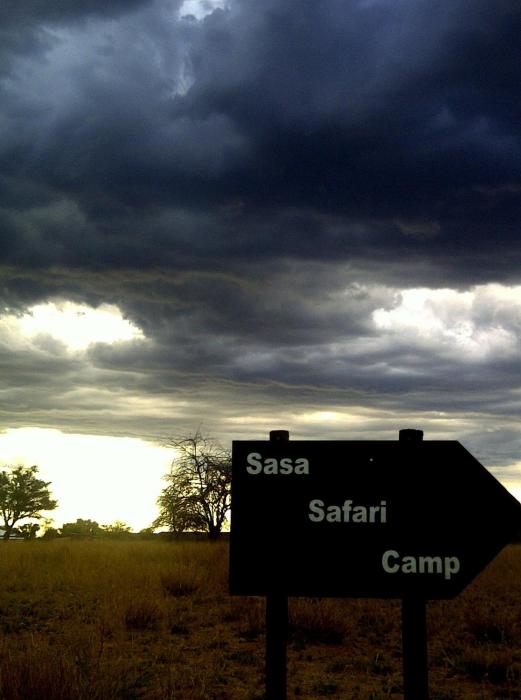 sasa safari camp