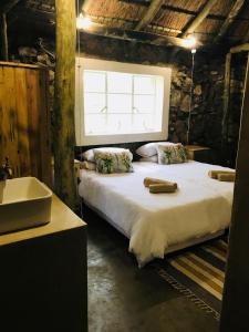 sasa safari camp