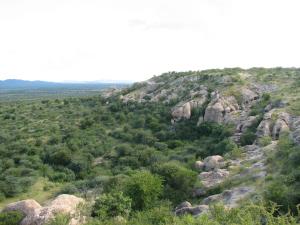 sasa safari camp