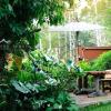 Monn Phu Phrai,Chiang Mai>>Ban Pong,3 star