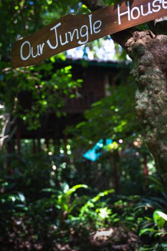 Our Jungle House,Khlong Sok>>Khao Sok National Park,3 star