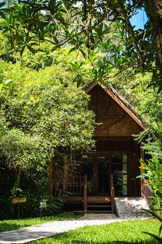 our jungle house