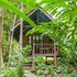 our jungle house
