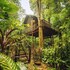 our jungle house