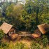 our jungle house