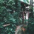 our jungle house