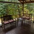our jungle house