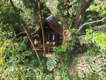 our jungle house