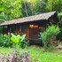 our jungle house