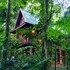 our jungle house