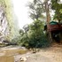 our jungle house