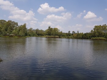 mountain view country estate