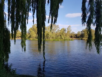 mountain view country estate