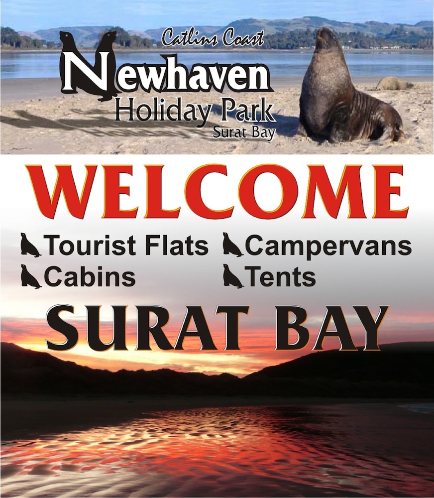 catlins newhaven holiday park