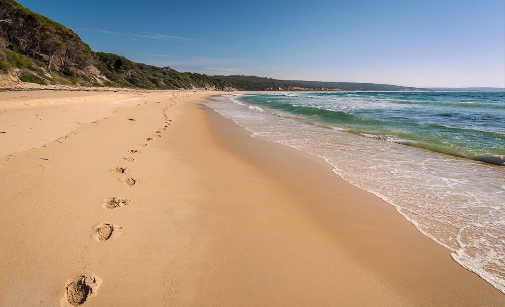 catlins newhaven holiday park