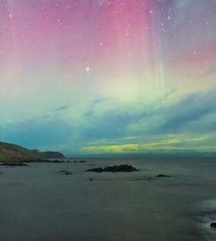 catlins newhaven holiday park