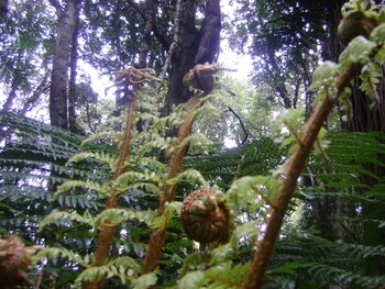 catlins newhaven holiday park