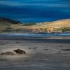 catlins newhaven holiday park
