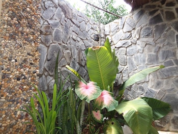ninila fruit farm bungalow