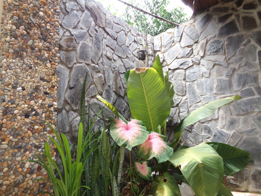 ninila fruit farm bungalow