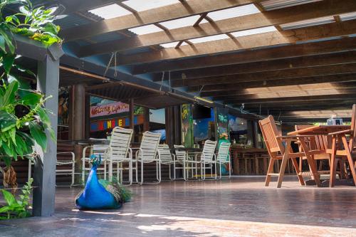 pks jungle village hostel