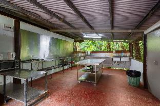 pks jungle village hostel
