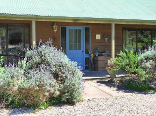 lavender farm hotel