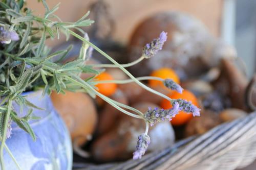 lavender farm hotel