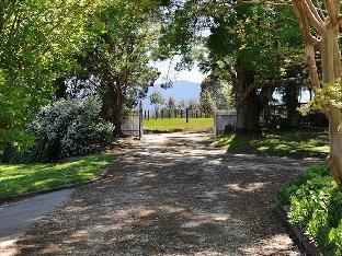 lavender farm hotel