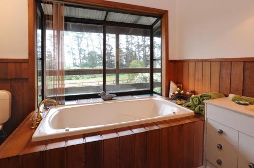 lavender farm hotel