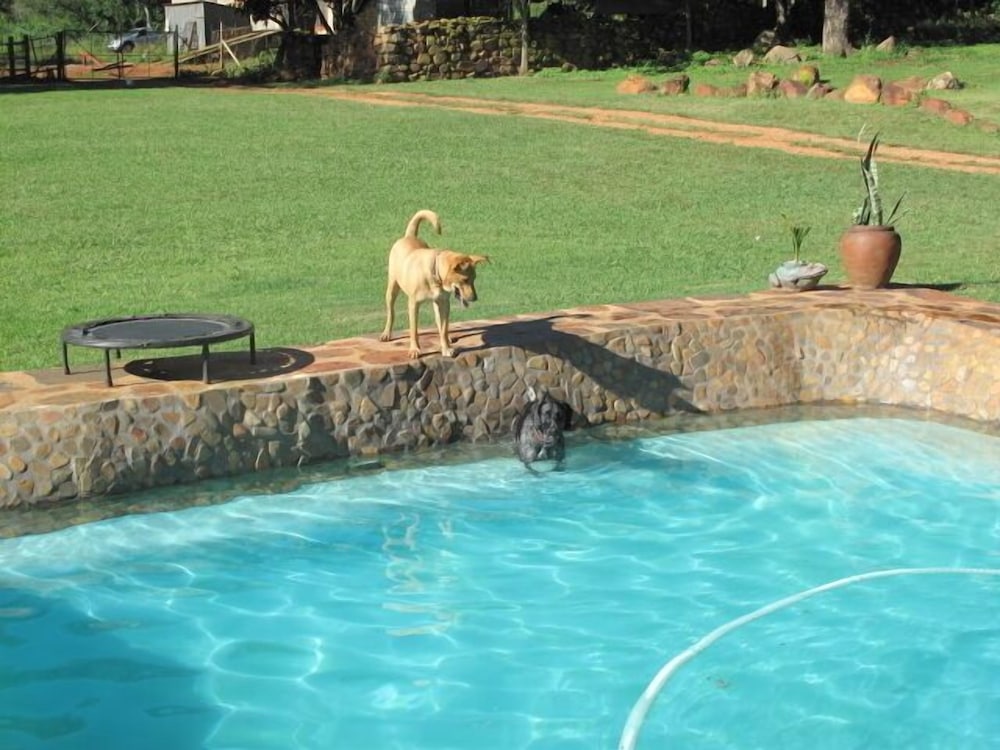 caracal lodge